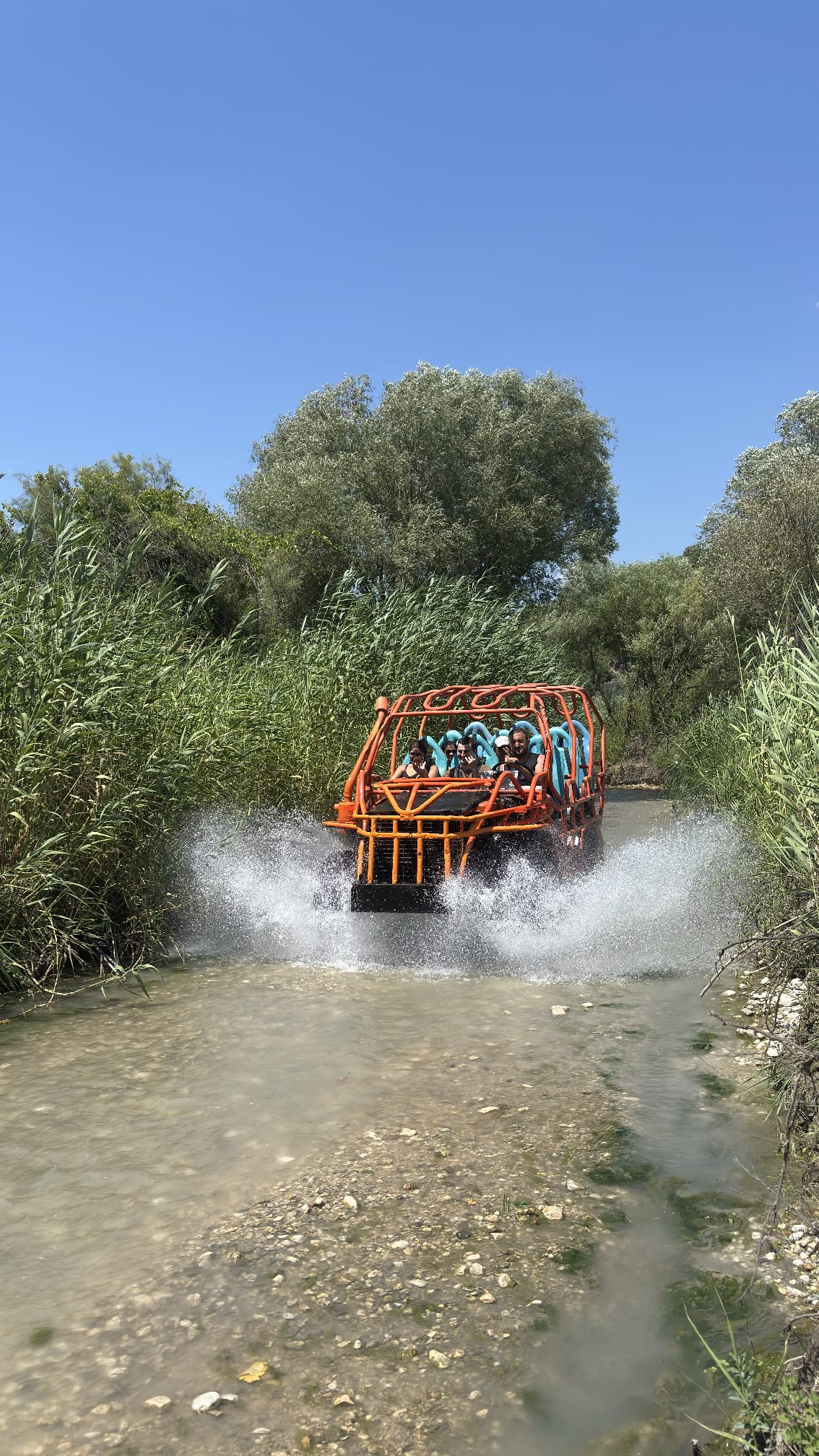 Monster Buggy
